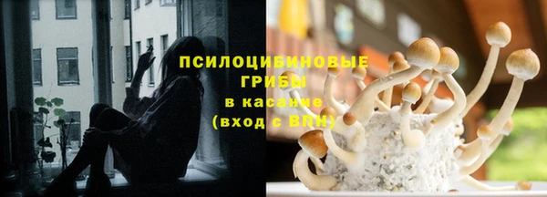 ПСИЛОЦИБИНОВЫЕ ГРИБЫ Алзамай