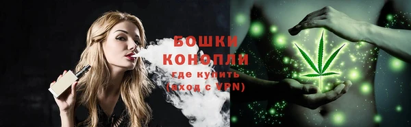 ПСИЛОЦИБИНОВЫЕ ГРИБЫ Алзамай