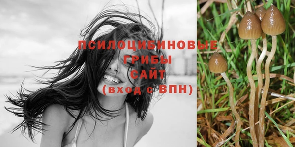 МДПВ Алексин