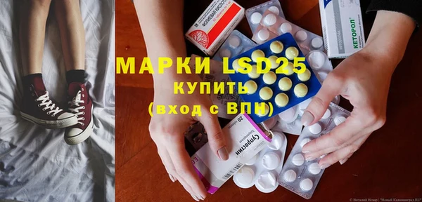 ПСИЛОЦИБИНОВЫЕ ГРИБЫ Алзамай